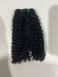 Burmese Curl