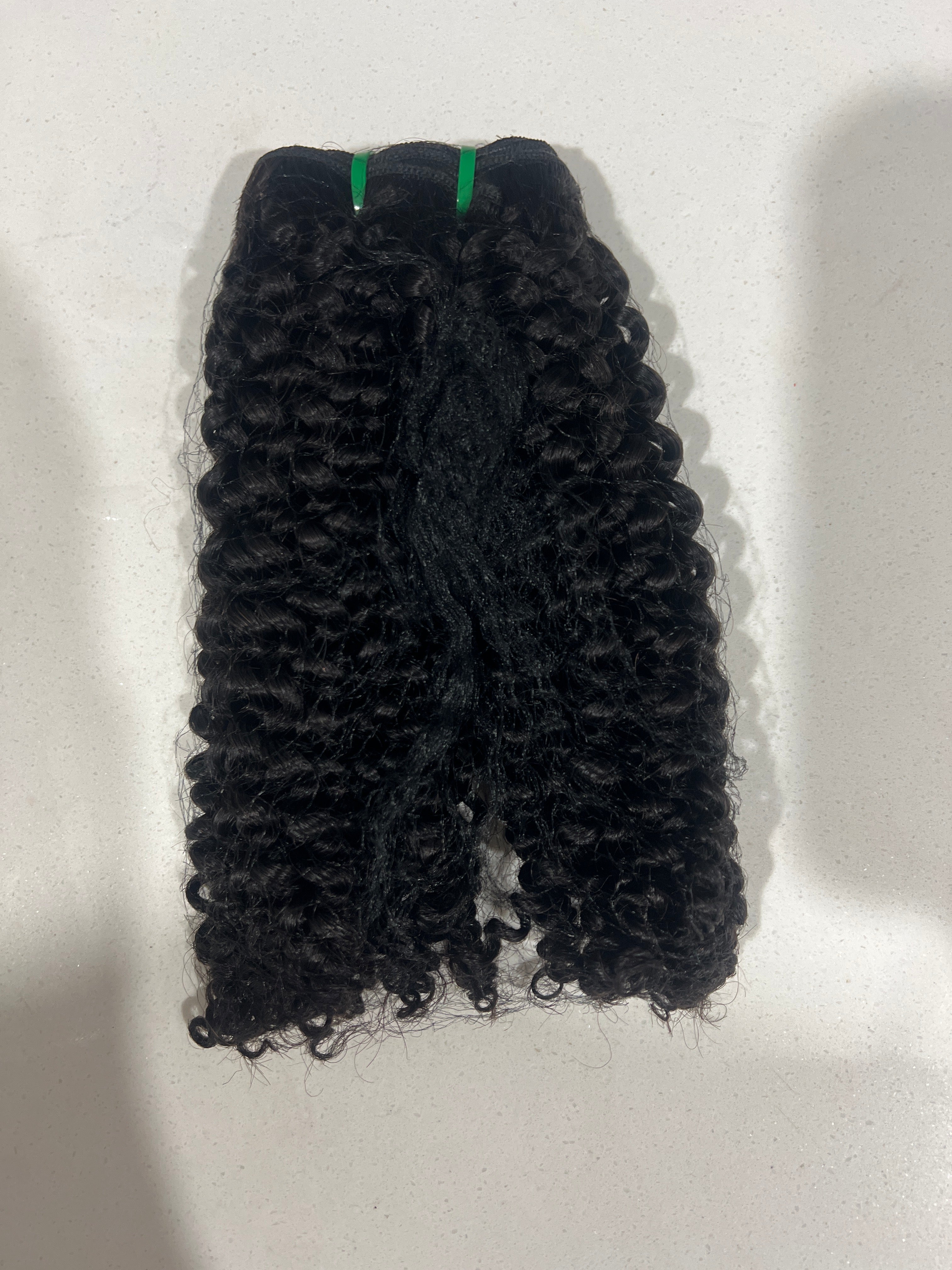 Burmese Curl